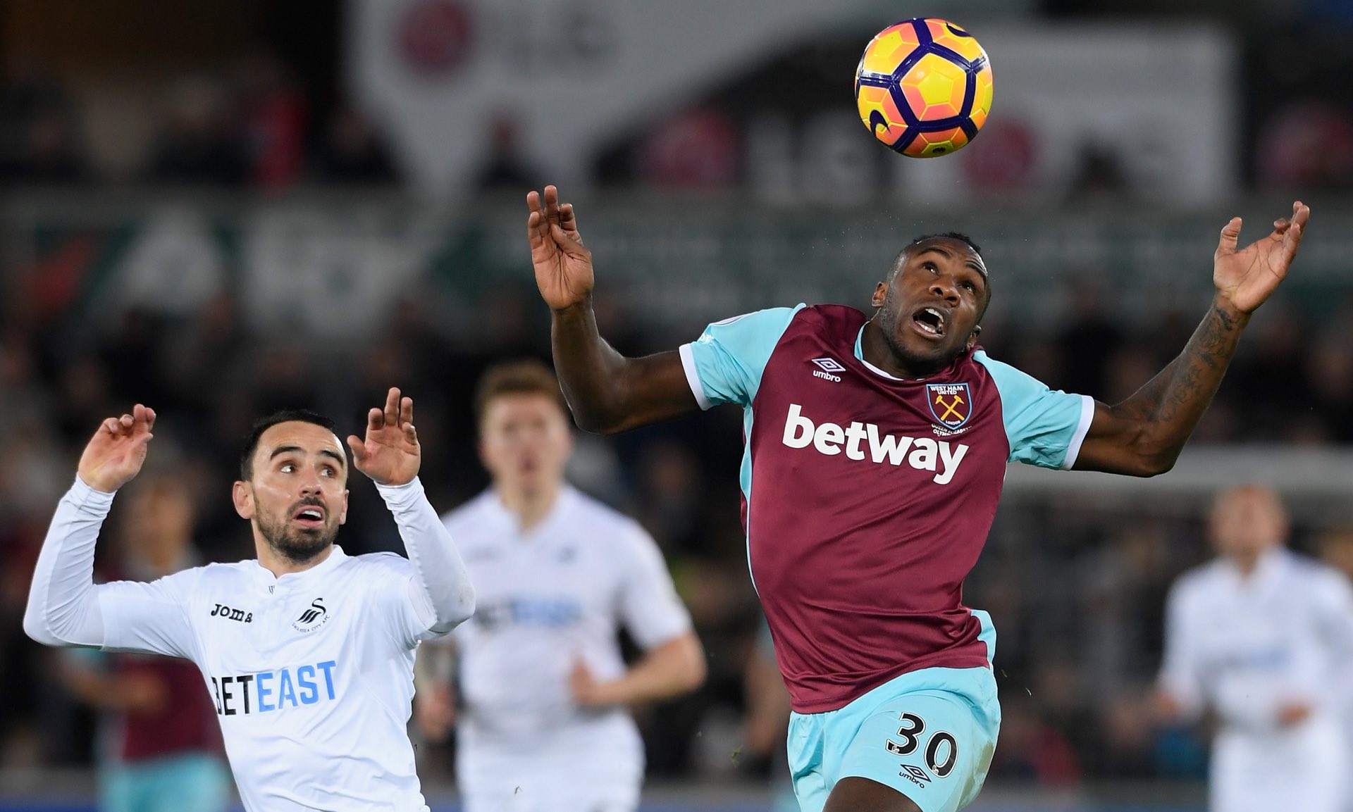 塔雷米提供 塔雷米提供