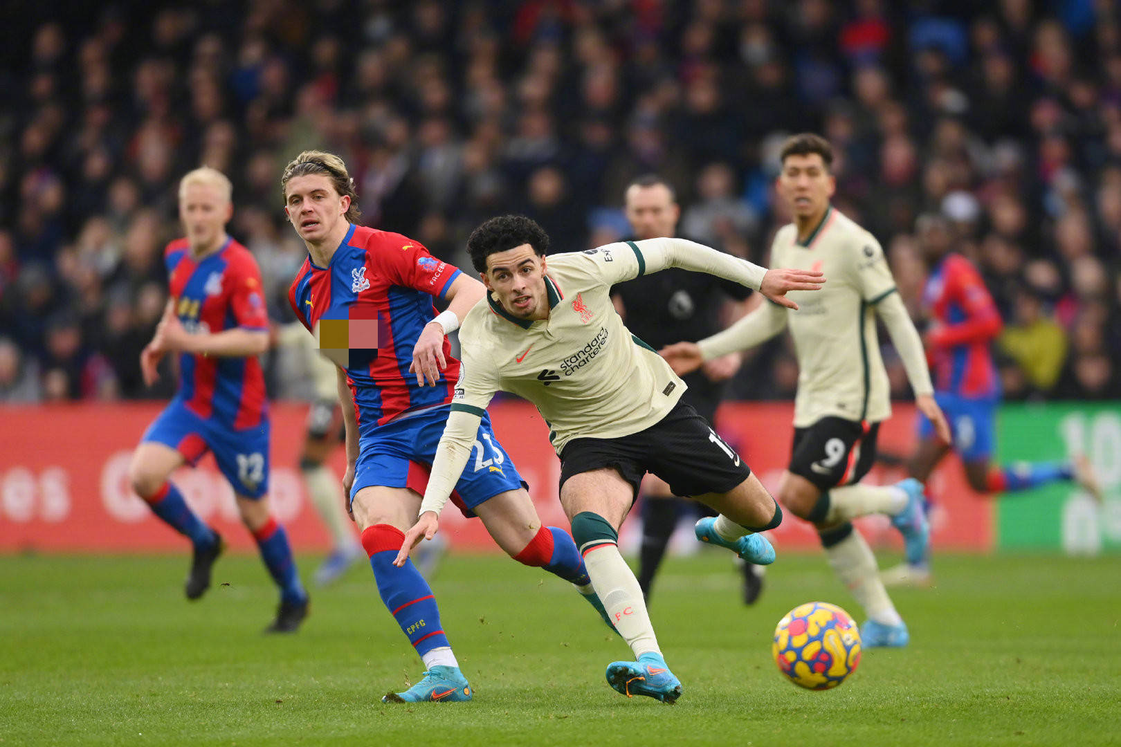 和信任年轻 和信任年轻