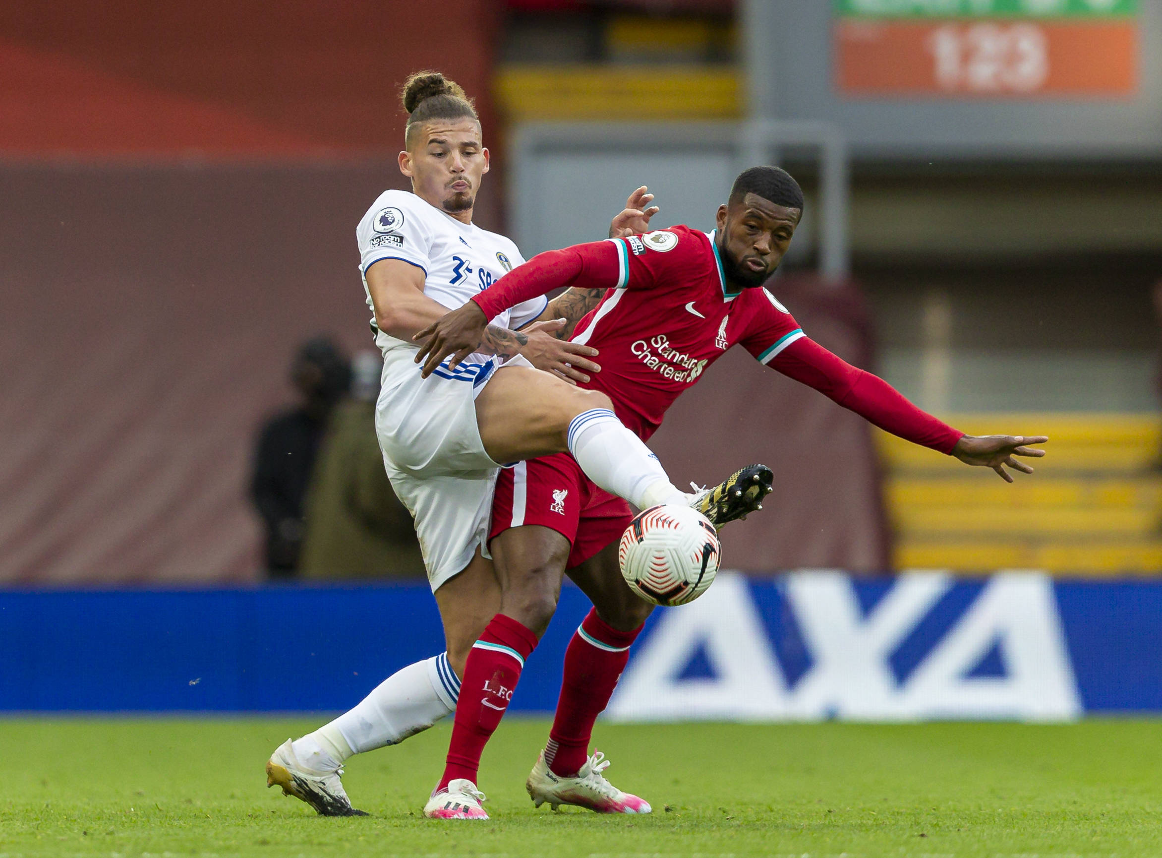 令人振奋的 令人振奋的