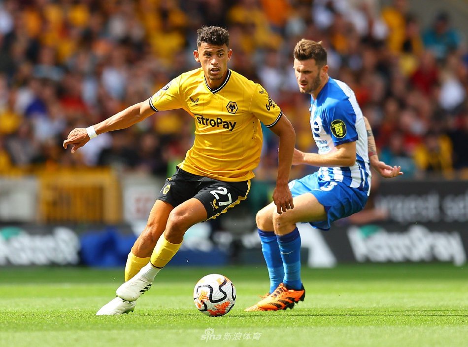 关键拼图 关键拼图